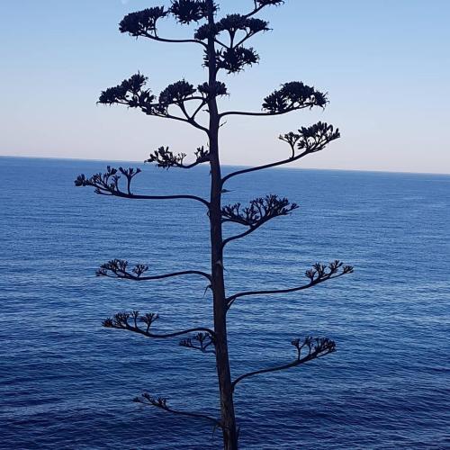 Apartamento Alanya
