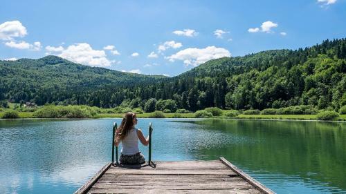 Apartma Juha -