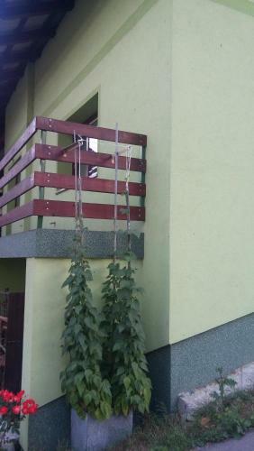 Apartma Juha -