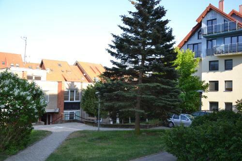 Apartamentai "prie ?vyturio"