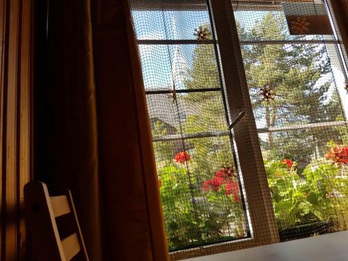 Apartamento Mini Koted?as Vakaris
