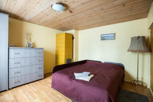 Hostal Skruzdynes 11