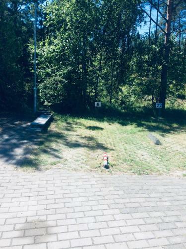 Apartamentai Purvynes 51
