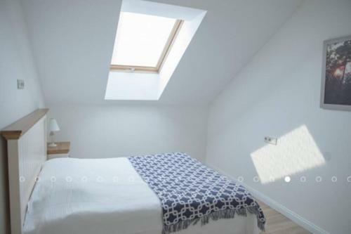 Comforting Apartments In Nida
