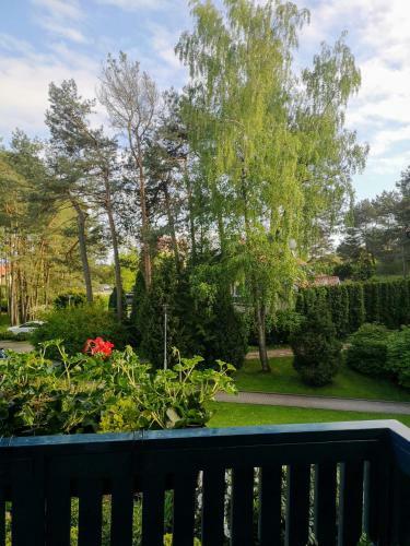Apartamento Mari? Studija