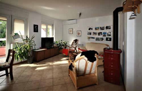 Apartma Pr' Cinku