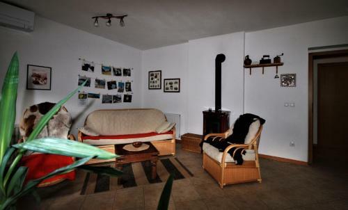 Apartma Pr' Cinku