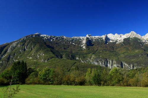 Apartment Bolita Bovec