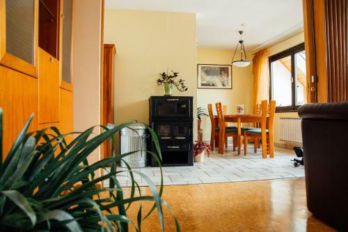 Apartment Bor