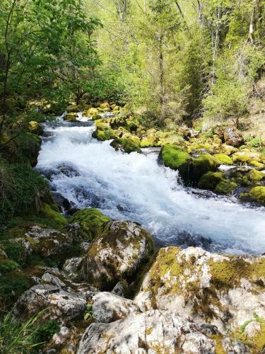 Apartamento Alpine Relax Bovec