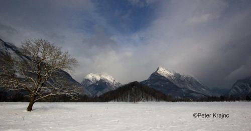 Apartment Montis Bovec