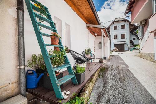 Apartment Dajana