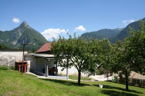 Apartma Center