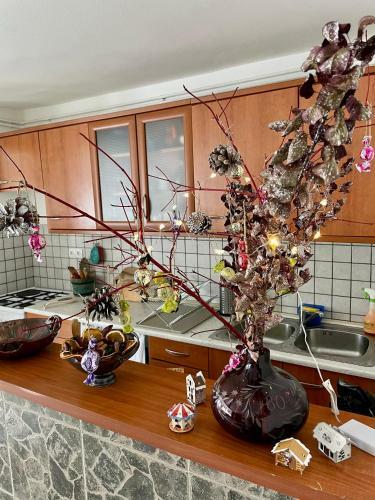 Apartma Pri So?i