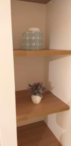 Apartamento Departamento Amoblado Algarrobo