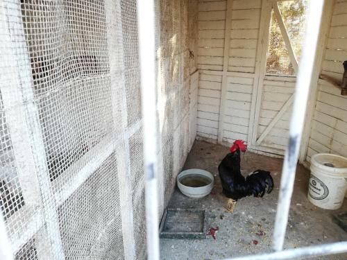 Caba�as F90 Algarrobo