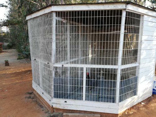 Caba�as F90 Algarrobo