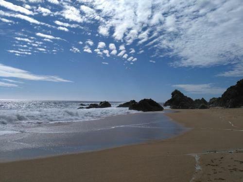 Apartamento Departamento Algarrobo Norte