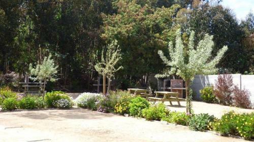 Apartamento Departamento Algarrobo Norte