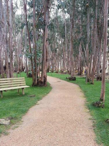 Apartamento Departamento Algarrobo Norte