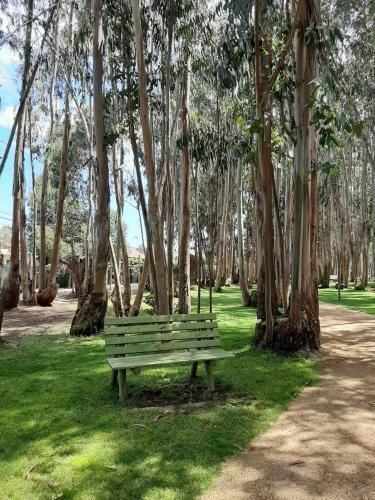 Apartamento Costa Algarrobo Norte