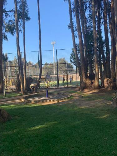 Apartamento Departamento Algarrobo Los Olivos