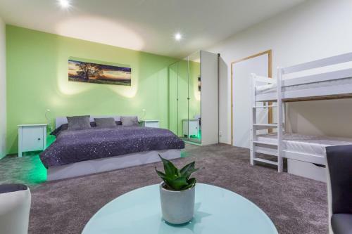 Air-conditioned Apartment ?ancov� - Old Town