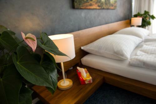 Bed & Breakfast More Than Hotel & Accommodation