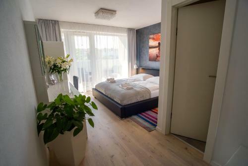 Bed & Breakfast More Than Hotel & Accommodation
