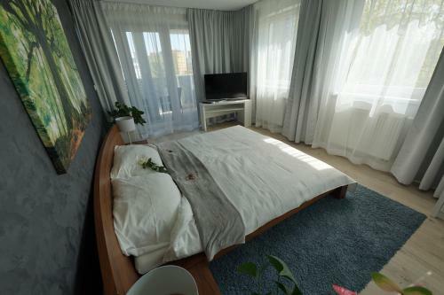 Bed & Breakfast More Than Hotel & Accommodation