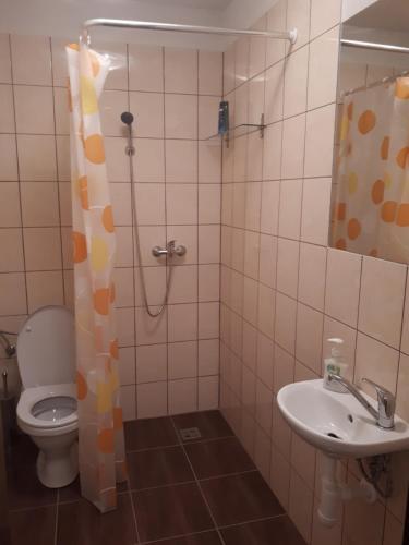 Apartm�n - S�kromie V Meste (12)