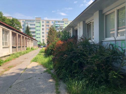 Moonstreet Apartments