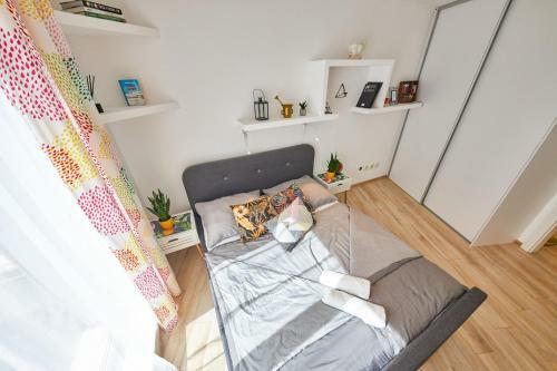 Pineapple Apartment