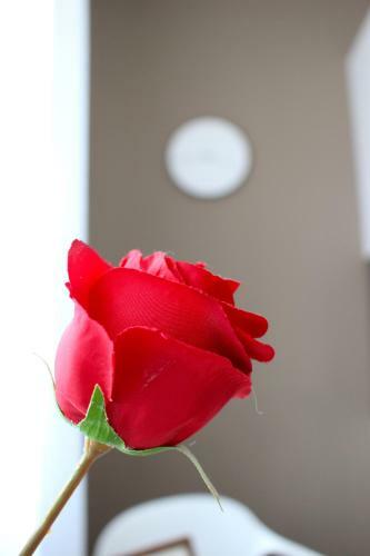 Apartamento Little Romance In Bratislava