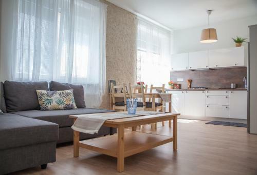 Downtown Pedestrian Zone Apartment