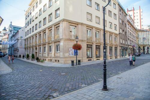 Downtown Pedestrian Zone Apartment