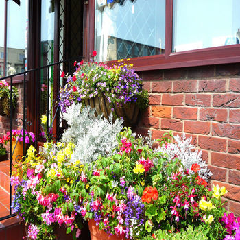 Hostal Holmsdale Hotel