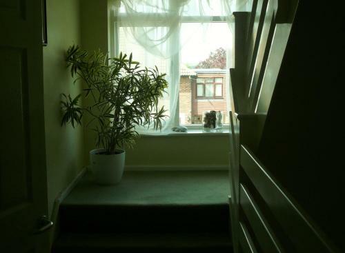 Hostal Malvern House