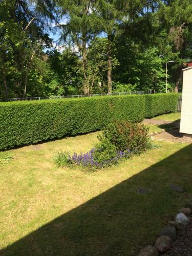 Springwell Cottage
