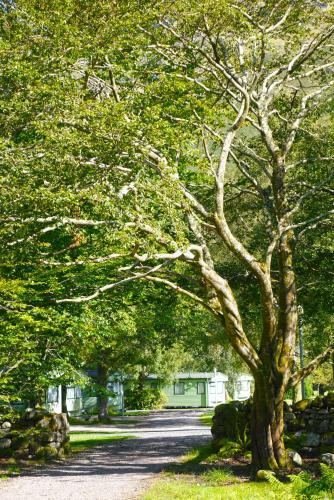 Glen Nevis Holidays