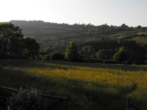 Bed & Breakfast Mitchelcroft