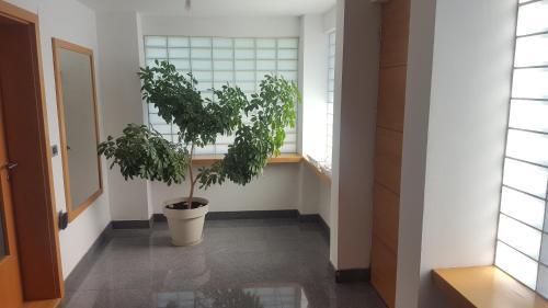 Apartamento Studio Tara With Balcony