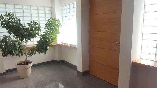 Apartamento Studio Tara With Balcony