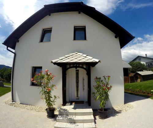 Hostal The Jungle Apartments And Rooms (Vila D?ungla)