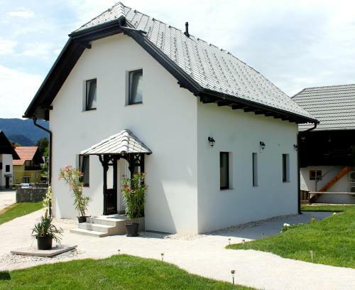 Hostal The Jungle Apartments And Rooms (Vila D?ungla)