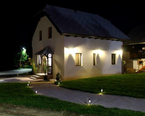 Hostal The Jungle Apartments And Rooms (Vila D?ungla)