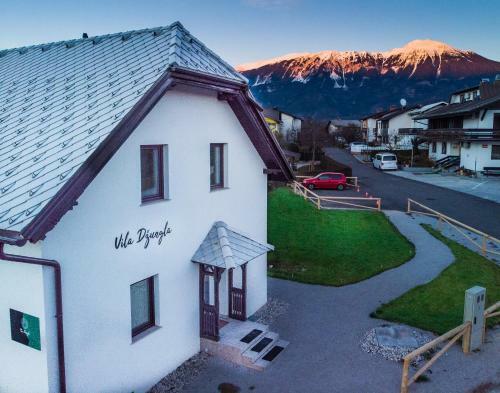 Hostal The Jungle Apartments And Rooms (Vila D?ungla)