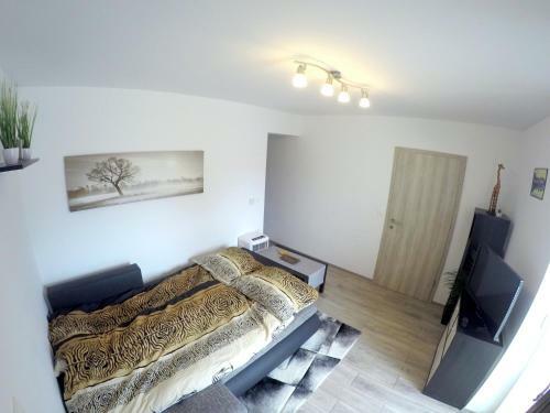 Hostal The Jungle Apartments And Rooms (Vila D?ungla)