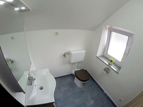 Hostal The Jungle Apartments And Rooms (Vila D?ungla)