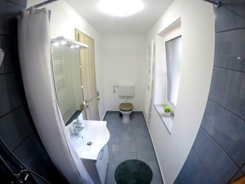Hostal The Jungle Apartments And Rooms (Vila D?ungla)